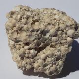 Aragonite (variety Pisolite)<br />Loket (Elbogen), Sokolov District, Karlovy Vary Region, Bohemia, Czech Republic<br />3 x 3 cm<br /> (Author: Volkmar Stingl)