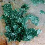 Brochantita.Mina Feliz Encuentro, Sierra Almagrera, Cuevas del Almanzora, Comarca Levante Almeriense, Almería, Andalucía, España2´394 x 2´394 mm. (Autor: Jesus Franquesa Baucells)