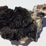 Descloizite<br />Berg Aukas, Grootfontein District, Otjozondjupa Region, Namibia<br />6,5 x 4 cm<br /> (Author: Volkmar Stingl)