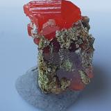 WulfeniteChah Kharboze Mine, Chah Kharboze, Anarak District, Nain, Isfahan Province, Iran1,3 x 0,8 cm (Author: Volkmar Stingl)