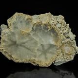 Quartz<br />Dalnegorsk, Dalnegorsk Urban District, Primorsky Krai, Russia<br />6.4 x 4.4 x .7 cm<br /> (Author: am mizunaka)