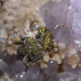 Chalcopyrite<br />September Mine (9th of September Mine) , Madan mining area, Rhodope Mountains, Smolyan Oblast, Bulgaria<br /><br /> (Author: am mizunaka)