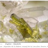 Epidote with Quartz<br />Vallon de la Valette, La Lauzière Massif, Saint-Jean-de-Maurienne, Savoie, Auvergne-Rhône-Alpes, France<br />fov 8.7 mm<br /> (Author: ploum)