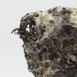 Plata<br />Vetagrande, Municipio Vetagrande, Zacatecas, México<br />6x3x1 cm<br /> (Autor: Luis Edmundo Sánchez Roja)