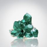 Dioptase<br />Tsumeb Mine, Tsumeb, Otjikoto Region, Namibia<br />22 x 20 x 19 mm<br /> (Author: TamaHiguchi)