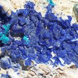 Azurite, Malachite, Dolomite,Tetrahedrite series<br />Ringenwechsel Mining District, Troi, District Schwaz, Inn Valley, North Tyrol, Tyrol/Tirol, Austria<br />7 x 5 cm<br /> (Author: Volkmar Stingl)