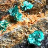 AtacamitaMina Feliz Encuentro, Sierra Almagrera, Cuevas del Almanzora, Comarca Levante Almeriense, Almería, Andalucía, EspañaMicro (Autor: José Luis Zamora)