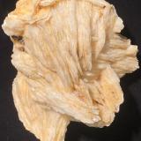 Barite<br />Mibladen (Mibladen mining district), Midelt, Midelt Province, Drâa-Tafilalet Region, Morocco<br />162 mm X 124 mm X 93 mm<br /> (Author: Robert Seitz)