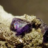 Fluorita, PiritaMinas da Panasqueira, Aldeia de São Francisco de Assis, Covilhã, Castelo Branco, Cova da Beira, Centro, Portugal0,2 cm. el cristal de Fluorita (Autor: javier ruiz martin)