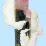 Elbaite, albite
Stak Nala, Haramosh Mountains, Skardu, Gilgit-Baltistan, Pakistan
62 mm x 39 mm x 38 mm (Author: Carles Millan)