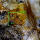 Cerusita.<br />Mina Pepito, Mont-Ras, Comarca Baix Empordà, Gerona / Girona, Cataluña / Catalunya, España<br />1´252 x 1´058 mm.<br /> (Autor: Jesus Franquesa Baucells)