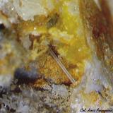 Cerusita.<br />Mina Pepito, Mont-Ras, Comarca Baix Empordà, Gerona / Girona, Cataluña / Catalunya, España<br />1´252 x 1´058 mm.<br /> (Autor: Jesus Franquesa Baucells)