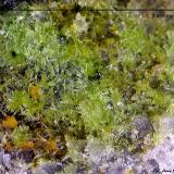 Piromorfita.<br />Minas Can Magre, Vidreres, Comarca La Selva, Gerona / Girona, Cataluña / Catalunya, España<br />3´696 x 2´608 mm.<br /> (Autor: Jesus Franquesa Baucells)