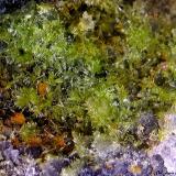Piromorfita.<br />Minas Can Magre, Vidreres, Comarca La Selva, Gerona / Girona, Cataluña / Catalunya, España<br />3´696 x 2´608 mm.<br /> (Autor: Jesus Franquesa Baucells)