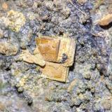 BassetitaLos Ratones Mine, Albalá, Mancomunidad Sierra de Montánchez, Cáceres, Extremadura, SpainC.d.v. 0,7 x 0,7 cm. (Autor: carles)