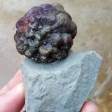 Pirita.Son Genovés, Marratxí, Comarca Raiguer, Mallorca, Baleares, Balearic Islands / Illes Balears, Spain43 mm (Autor: José Juárez Ruiz)