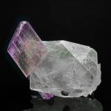 Elbaite, Quartz<br />Himalaya Mine, Gem Hill, Mesa Grande District, San Diego County, California, USA<br />2.4 x 2.6 x .5 cm<br /> (Author: am mizunaka)