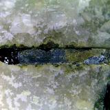Euxenita-(Y)<br />Evje og Hornnes, Agder, Noruega<br />Cristal de 8 mm.<br /> (Autor: Antonio P. López)