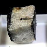 Euxenita-(Y)<br />Evje og Hornnes, Agder, Noruega<br />1,5 x 1,5 cm.<br /> (Autor: Antonio P. López)