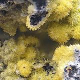 VanadinitaMina San Francisco (antigua mina Pura), Higuera de Llerena, Comarca Campiña Sur, Badajoz, Extremadura, EspañaCampo de visión de 4 mm. (Autor: Antonio Carmona)