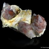 Cuarzo.<br />Viladrau, Comarca Osona, Gerona / Girona, Cataluña / Catalunya, España<br />98x62 mm.<br /> (Autor: Jesus Franquesa Baucells)
