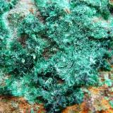 MalaquitaMarialina Mine, Peraleda de San Román, Comarca Las Villuercas, Cáceres, Extremadura, Spain6 x 4 cm. (Autor: javier ruiz martin)