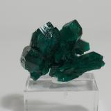 Dioptase<br />Renéville, Kindanba District, Pool Department, Republic of the Congo<br />2.5 x 1.6 x 1.2 cm<br /> (Author: Casimir Sarisky)