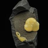 Calcite<br />Campomorto Quarry, Pietra Massa, Montalto di Castro, Viterbo, Lazio, Italy<br />9.4 x 5.4 cm<br /> (Author: am mizunaka)