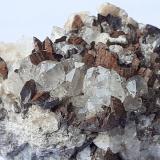 Siderite, QuartzKohlwald, Flirsch, Distrito Landeck, Tirol Norte, Tirol, Austria5 x 3,5 cm (Author: Volkmar Stingl)