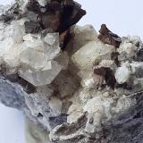 Quartz, Siderite<br />Kohlwald, Flirsch, Landeck District, North Tyrol, Tyrol/Tirol, Austria<br />4,5 x 3,5 cm<br /> (Author: Volkmar Stingl)