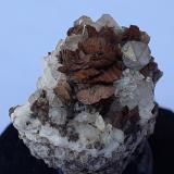 Siderite, QuartzKohlwald, Flirsch, Distrito Landeck, Tirol Norte, Tirol, Austria2 x 2 cm (Author: Volkmar Stingl)