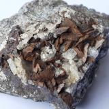 Siderite, QuartzKohlwald, Flirsch, Distrito Landeck, Tirol Norte, Tirol, Austria5,5 x 4 cm (Author: Volkmar Stingl)