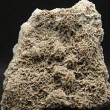 AragonitoLoma Bada, Petrer, Comarca Medio Vinalopó, Alicante / Alacant, Comunidad Valenciana / Comunitat Valenciana, España8 x 7.5 cm (Autor: Pedro Antonio)