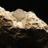 Calcita Sepiolita<br />Grupo Minero Victoria, Distrito San Blas-Canillejas, Madrid, Comarca Área Metropolitana de Madrid, Comunidad de Madrid, España<br />9.5 x 3.5 cm<br /> (Autor: Pedro Antonio)
