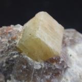 RhodizitaAntsogombato Mine, Antsentsindrano, Anosiarivo Manapa, Betafo District, Vakinankaratra Region, Madagascar15x10 mm (Autor: Ignacio)