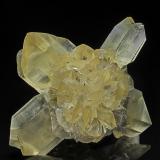 Gypsum<br />Red River floodway, Winnipeg, Winnipeg Capital Region, Manitoba, Canada<br />8.6 x 7.7 cm<br /> (Author: am mizunaka)