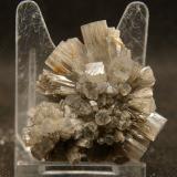 AragonitoLoma Bada, Petrer, Comarca Medio Vinalopó, Alicante / Alacant, Comunidad Valenciana / Comunitat Valenciana, España5 x 4 cm (Autor: Pedro Antonio)