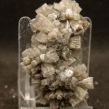 AragonitoLoma Bada, Petrer, Comarca Medio Vinalopó, Alicante / Alacant, Comunidad Valenciana / Comunitat Valenciana, España6.5 x 3 cm (Autor: Pedro Antonio)
