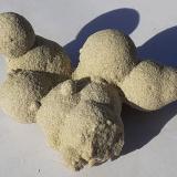 Calcite (variety sand-calcite)<br />Clay pit, Mályi, Miskolc District, Borsod-Abaúj-Zemplén, Hungary<br />5 x 3,5 cm<br /> (Author: Volkmar Stingl)
