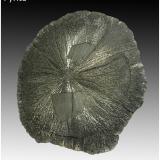 PyriteSparta, Condado Randolph, Illinois, USA110 mm x 105 mm x 8 mm (Author: silvia)