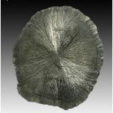Pyrite<br />Sparta, Randolph County, Illinois, USA<br />110 mm x 105 mm x 8 mm<br /> (Author: silvia)