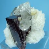 Topaz, schorl, quartz, albite, mica
Chamachhu, Haramosh Mts., Skardu, Gilgit-Baltistan, Pakistan
 56 mm x 47 mm (Author: Carles Millan)