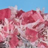 Rhodochrosite, quartz
Hedgehog Pocket, Main Stope Drift, Sweet Home Mine, Alma, Colorado, USA
91 mm x 57 mm x 45 mm

Close-up view (slightly blurred, sorry!) (Author: Carles Millan)