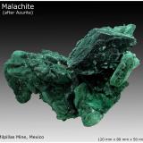 MalachiteMilpillas Mine, Cuitaca, Municipio Santa Cruz, Sonora, Mexico120 mm x 80 mm x 50 mm (Author: silvia)