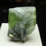 Olivino<br />Sapat Gali (Suppat), Naran, Valle Kaghan, Distrito Mansehra, Jaiber Pastunjuá, Paquistán<br />25x30 mm<br /> (Autor: Ignacio)
