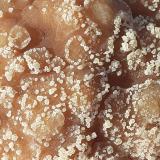 Calcite<br />Kohlwald, Flirsch, Landeck District, North Tyrol, Tyrol/Tirol, Austria<br />7,5 x 6 cm<br /> (Author: Volkmar Stingl)