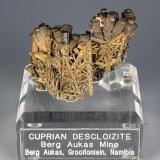 Cuprian Descloizite, nice! (Author: Gail)