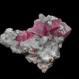 Rhodochrosite, QuartzIdaho Springs, Condado Clear Creek, Colorado, USA3.6 x 3.4 cm (Author: am mizunaka)