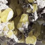 Sulfur<br />Agrigento (Girgenti) Province, Sicily, Italy<br />6 x 4 cm<br /> (Author: Volkmar Stingl)
