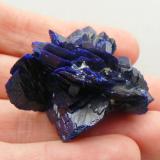 Azurite<br />Mine Bleu, Chessy-les-Mines, Les Bois d'Oingt, Villefranche-sur-Saône, Rhône, Auvergne-Rhône-Alpes, France<br />4 x 3.2 x 2.6 cm<br /> (Author: Benj)